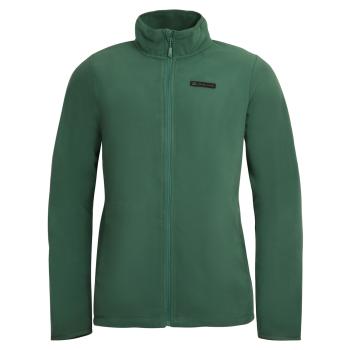 Чоловіча флісова кофта Alpine Pro Kalah, M - Green (MSWX282 579) image