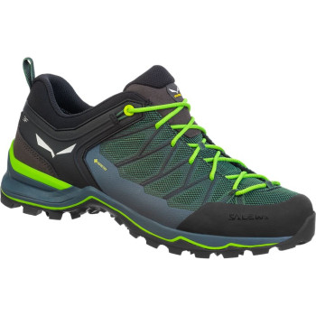 Кроссовки мужские Salewa MS MTN TRAINER LITE GTX, green, 41 (013.001.4419) image