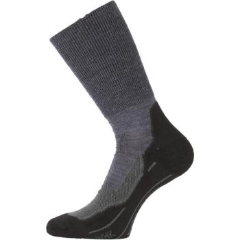 Термошкарпетки трекінгові Lasting WHK 504 XL Blue (WHK-504XL) image
