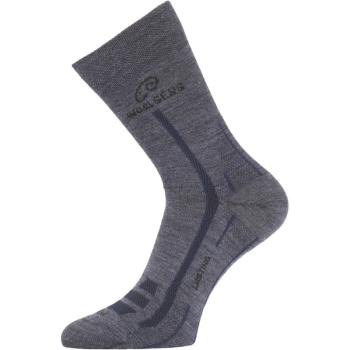 Термошкарпетки трекінгові Lasting WLS 504 L Grey (WLS-504L) image