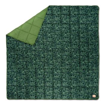 Ковдра Kelty Biggie Blanket, Dill-Fern (35427225-FN) image