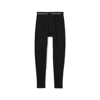 Термоштаны мужские Smartwool Men's Merino 250 Baselayer Bottom Boxed, Black, L (SW SW016362.001-L) image