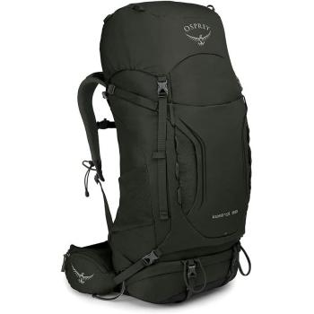 Рюкзак Osprey Kestrel 58, Picholine Green, S/M (OSP 009.1854) image