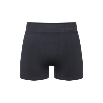 Термотруси чоловічі Fjord Nansen RIFFE SHORTS MEN, rocky grey, S/M (5908221356973) image