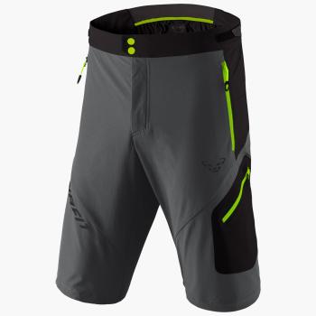 Шорты мужские Dynafit Transalper 3 DST M Shorts, 50/L - Gray (71180 0732 - 50/L) image