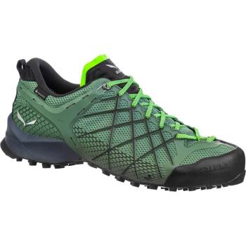 Кроссовки мужские Salewa WS Wildfire GTX, Green, 45 (013.001.4196) image