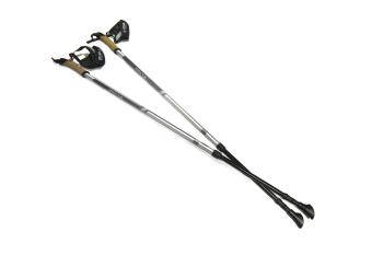 Палиці для скандинавської ходьби Silva EX-Pole Alu Adjustable, Grey (SLV 56065-000) image