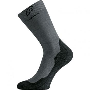Термошкарпетки трекінгові Lasting WHI 809 XL Grey (WHI-809XL) image