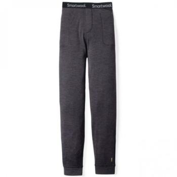 Термоштани чоловічі Smartwool Merino 250 Jogger Bottom, L - Charcoal (SW 16128.003-L) image