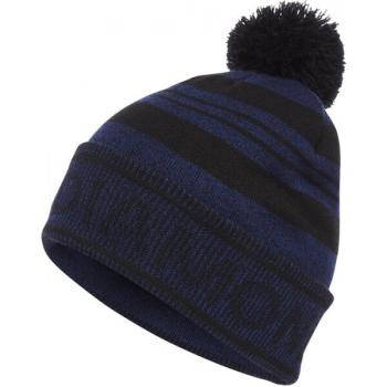 Шапка Black Diamond Pom Beanie, Black/Blue, р. One Size (BD 721002.9057) image