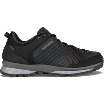 Кросівки трекінгові чоловічі LOWA Carezza GTX, Anthracite/Bronze, 44 (LW 210065-7945-44) image