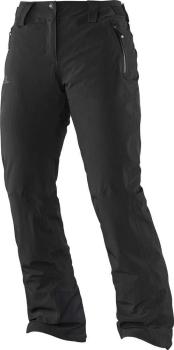 Штани жіночі Salomon Iceglory Pant, XL - Regular - Black (SLM ICEGLRW.366188R) image