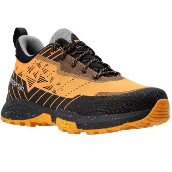 Кроссовки мужские Zamberlan 350 DEVERO LOW GTX, Orange, 43 (006.4905) image