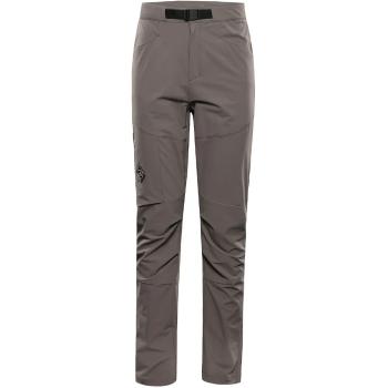 Штаны мужские Alpine Pro AKAN 3, Brown, 52 (007.023.0141) image