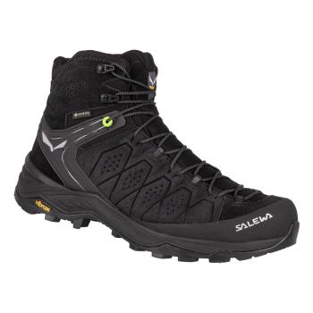 Напівчеревики чоловічі Salewa MS ALP TRAINER 2 MID GTX, Black, 47 image