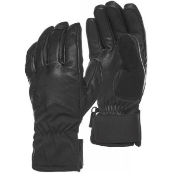 Рукавички чоловічі Black Diamond Tour Gloves, Black, р. XL (BD 801689.0002-XL) image
