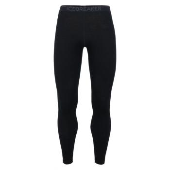 Термоштани чоловічі Icebreaker 260 Tech Leggings, Black/Monsoon, L (ICB 104373,0011-L) image