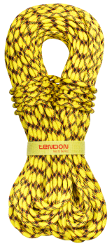 Динамічна мотузка Tendon Master 9.7 STD 50 м (TND D097TV41S050C) image