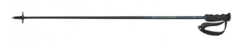 Палки трасовые горнолыжные универсальные Fischer Brilliant Carbon, 125 см (Z31019) image