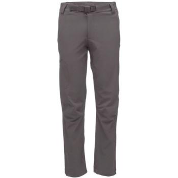 Штани чоловічі Black Diamond Alpine Pants, S - Granite (BD G61M.025-S) image
