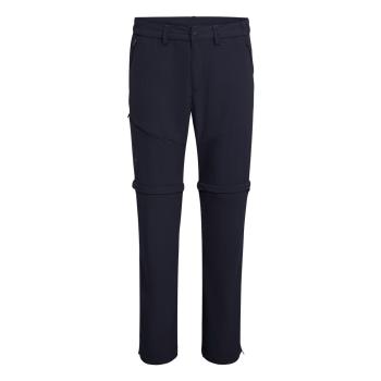 Штани чоловічі Salewa *Iseo Dry M 2/1 PNT, dark blue, 50/L (268923980) image