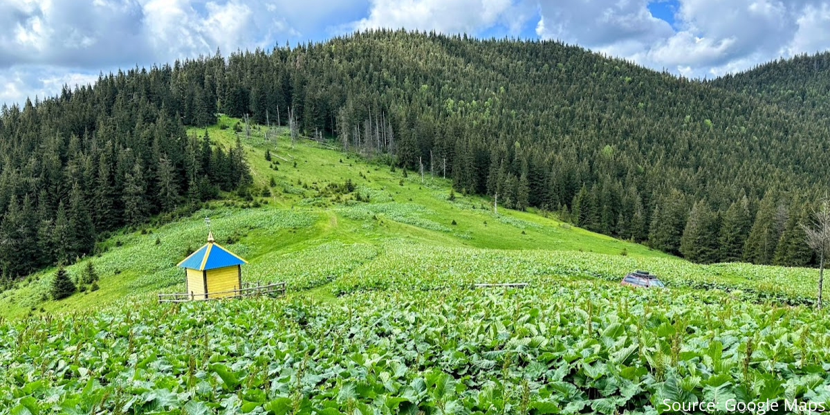 pol-blaziv