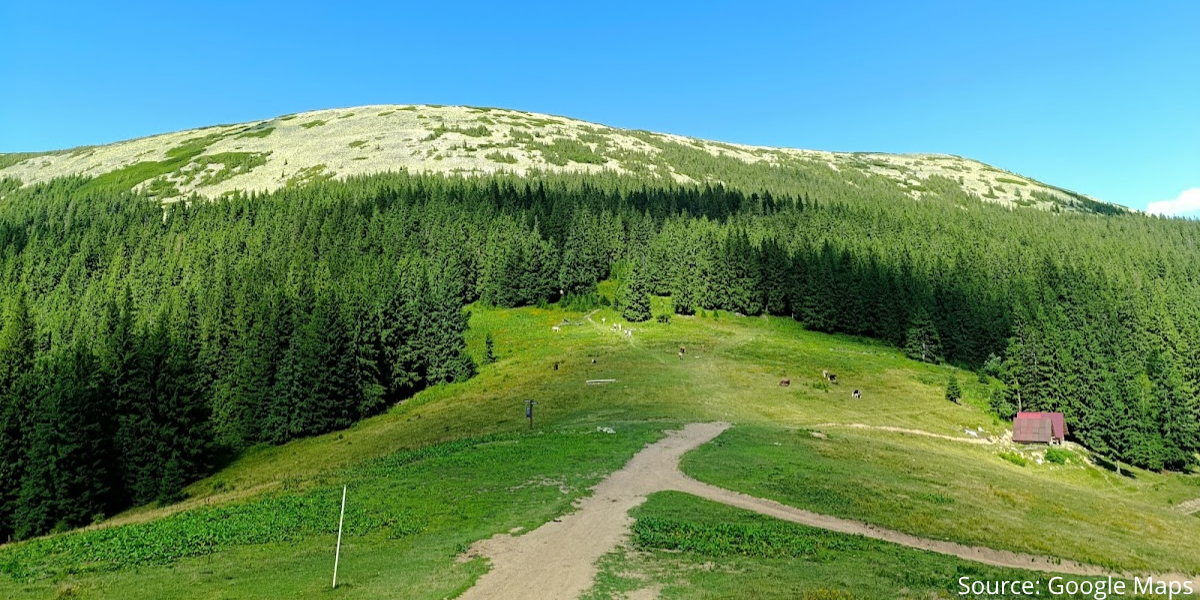 sinak-2