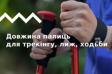 Як вибрати довжину палиць для трекінгу, лиж, скандинавської ходьби. Калькулятор